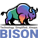 Bison Infosolutions